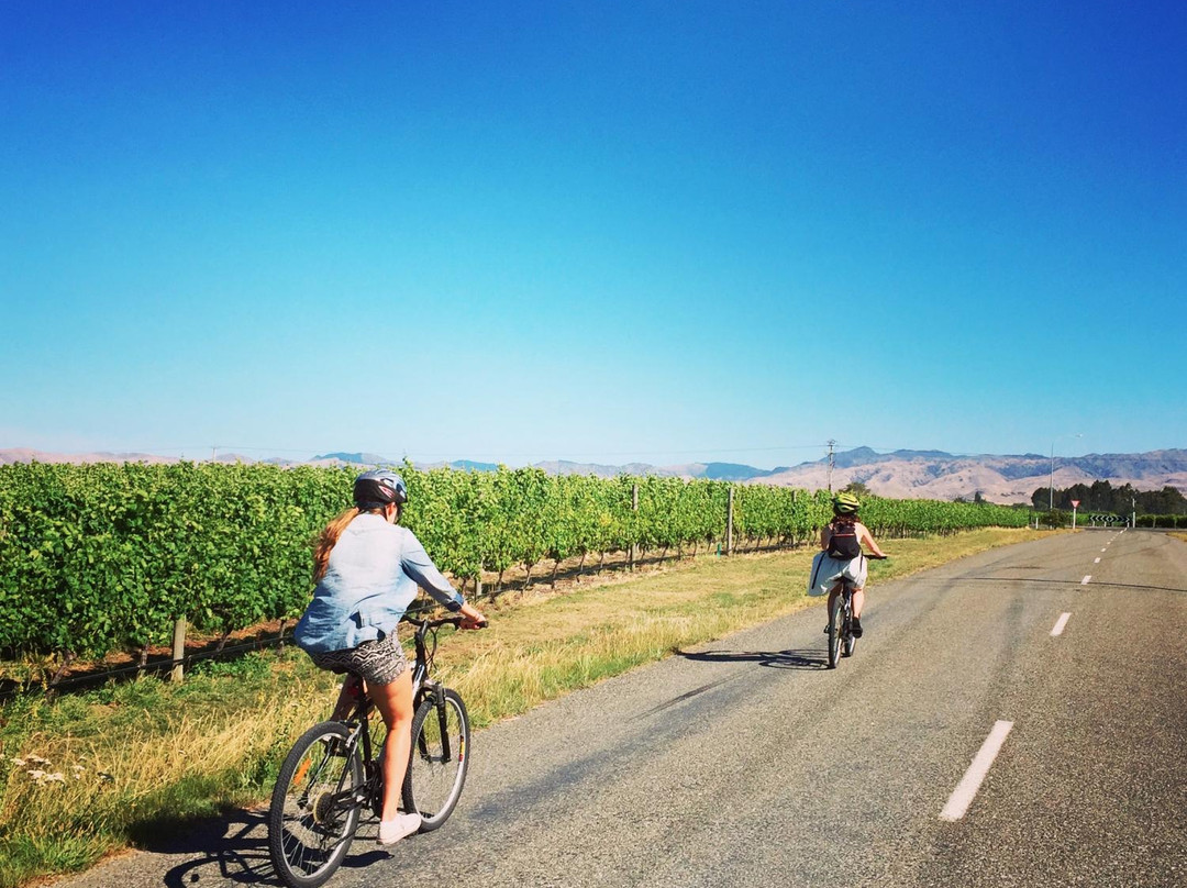 Book-a-Bike-布伦海姆必去景点