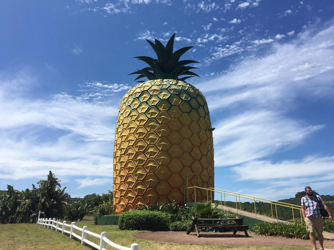 The Big Pineapple景点图片
