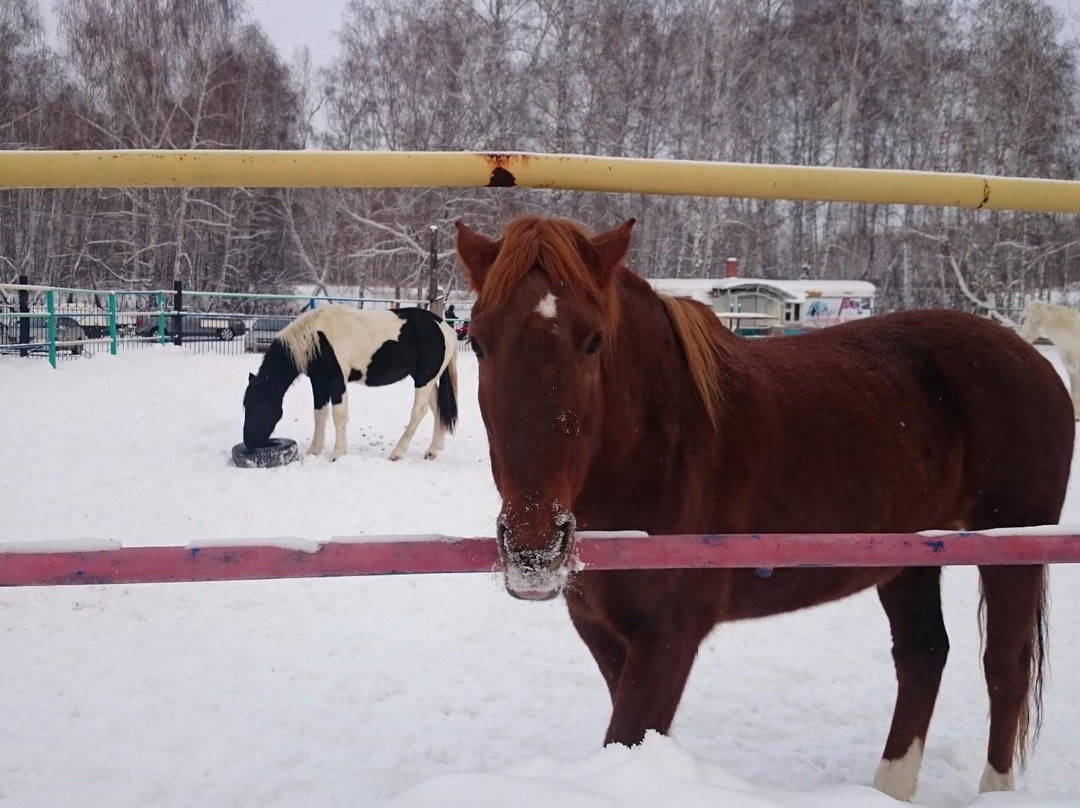 Bystrai-车里雅宾斯克必去景点