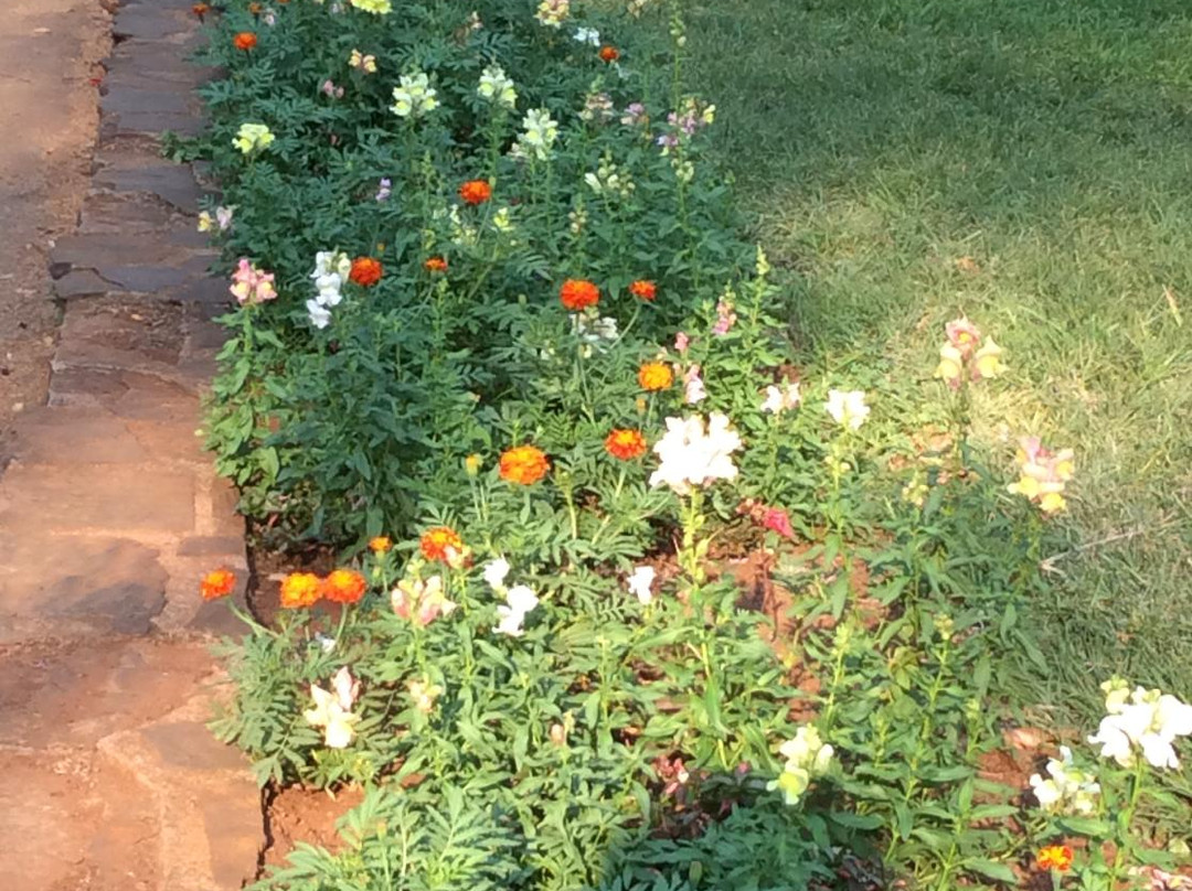 Harare Gardens景点图片
