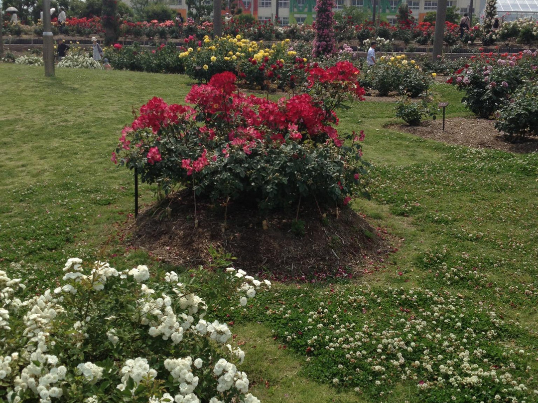 Wakazono Park-茨木市必去景点