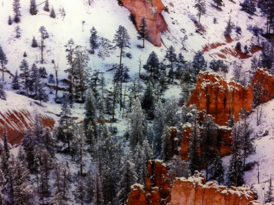 Bryce Ski Area景点图片