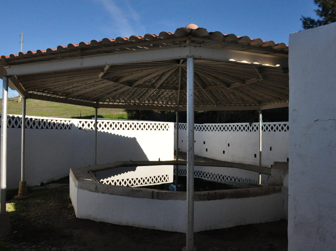 Fonte da Pedra / Fonte dos Almocreves-Arraiolos必去景点