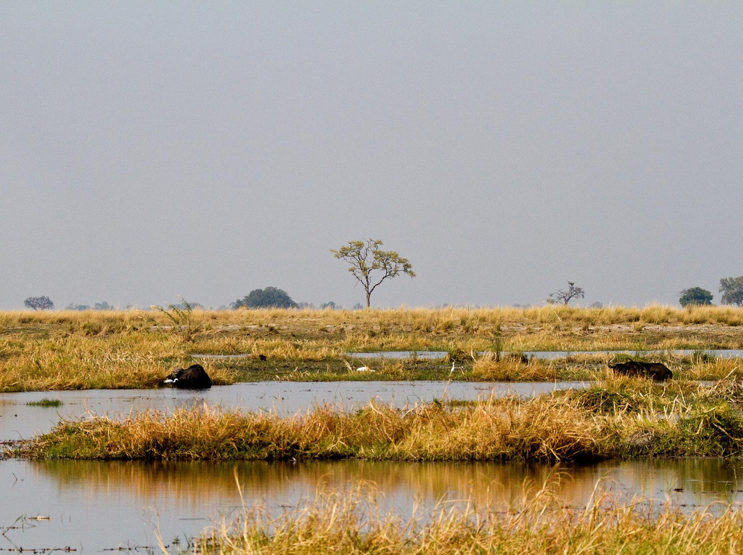 Nkasa Rupara National Park-Nkasa Rupala National Park必去景点
