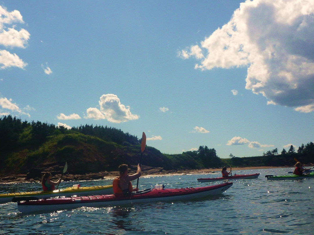 Coastal Spirit Expeditions-Cape John必去景点