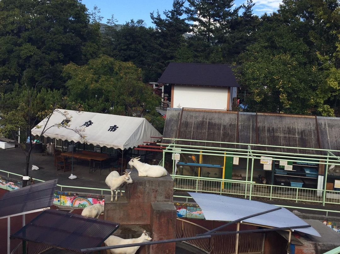 Kofu City Yuki Park Zoo景点图片