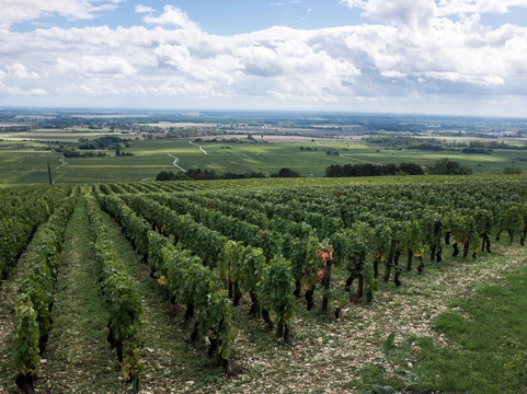 Culturewinetv-博讷必去景点