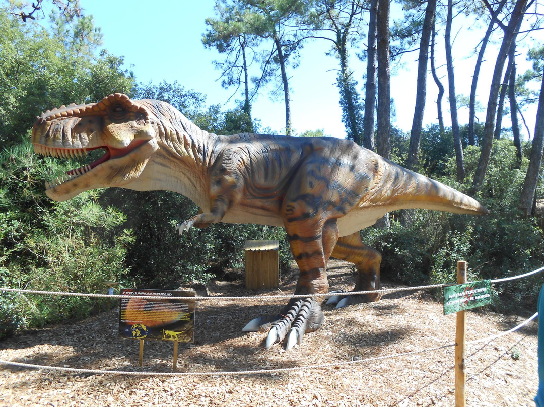 Dino's Park景点图片