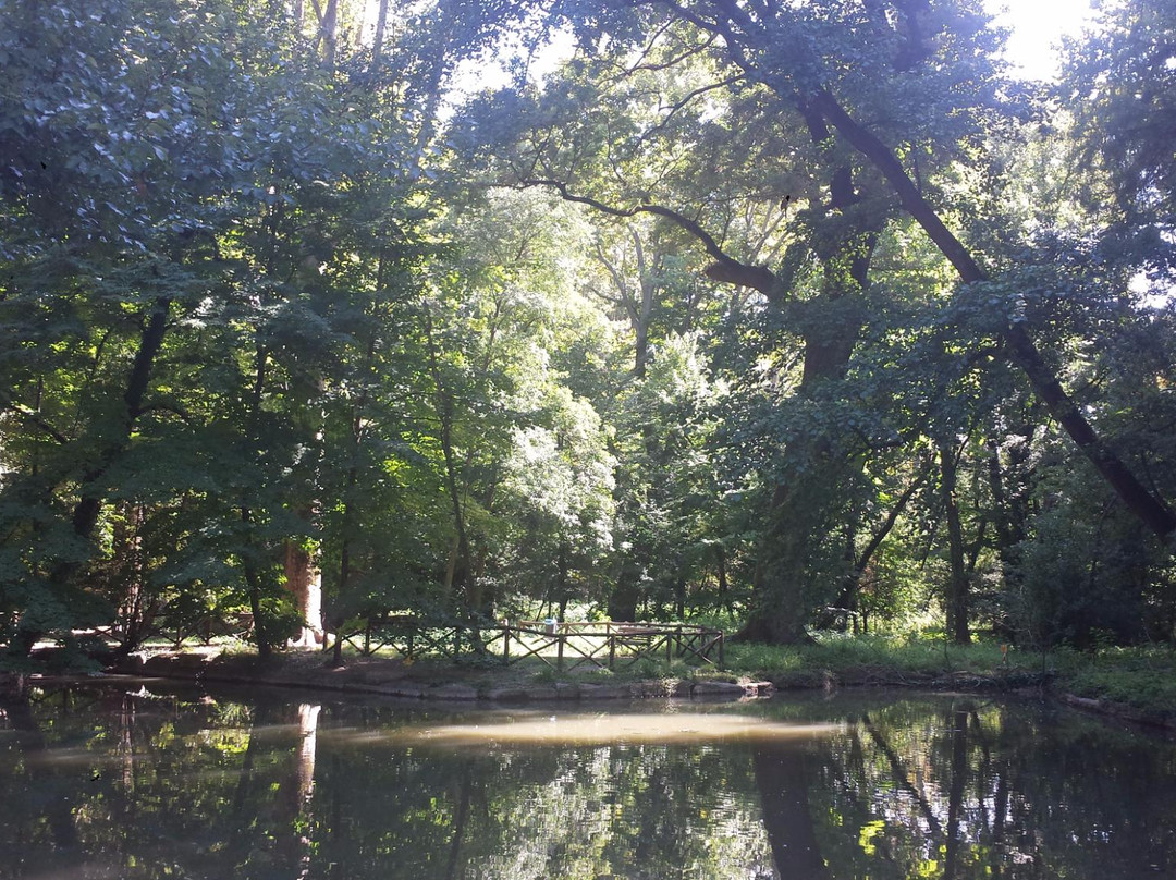 Parco del Neto景点图片