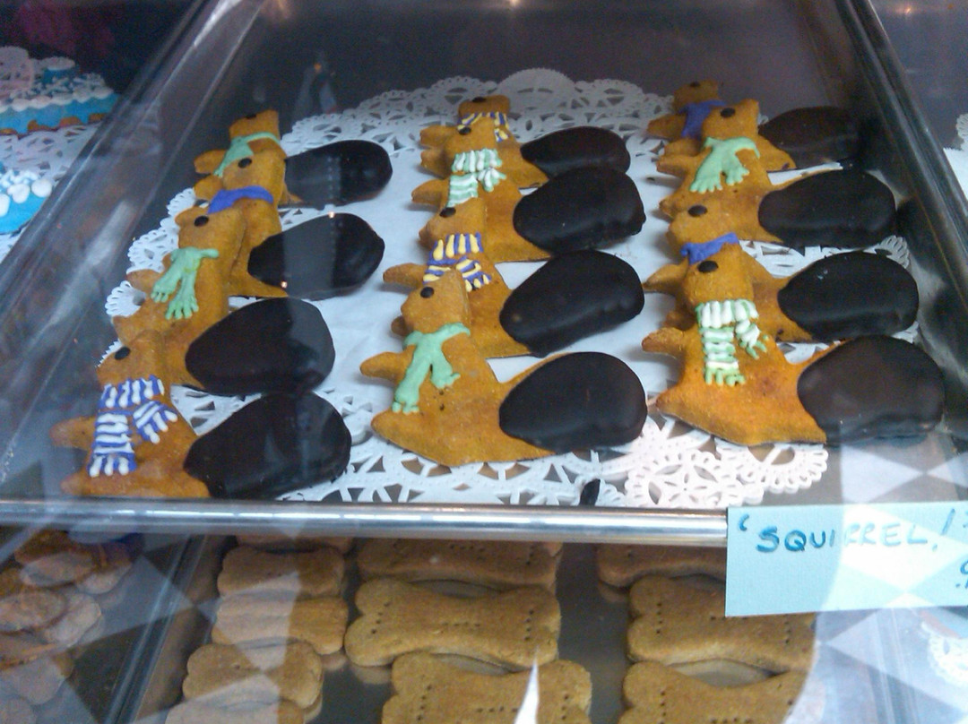 Blue Ridge Dog-哈里森堡必去景点