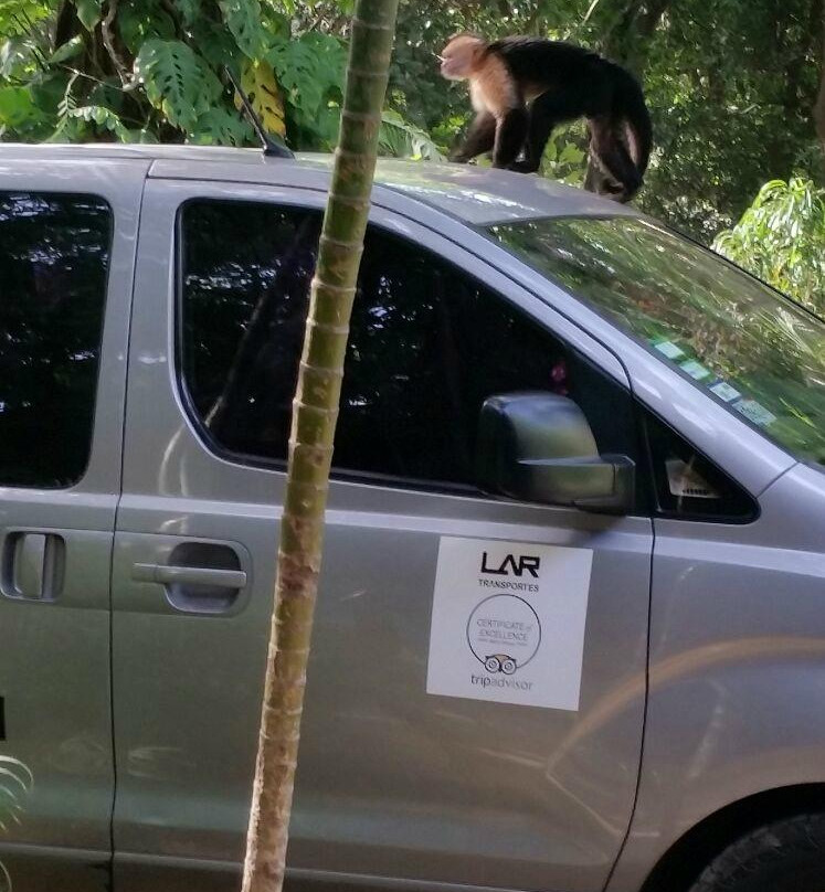 LAR Transportes-萨迪纳尔必去景点