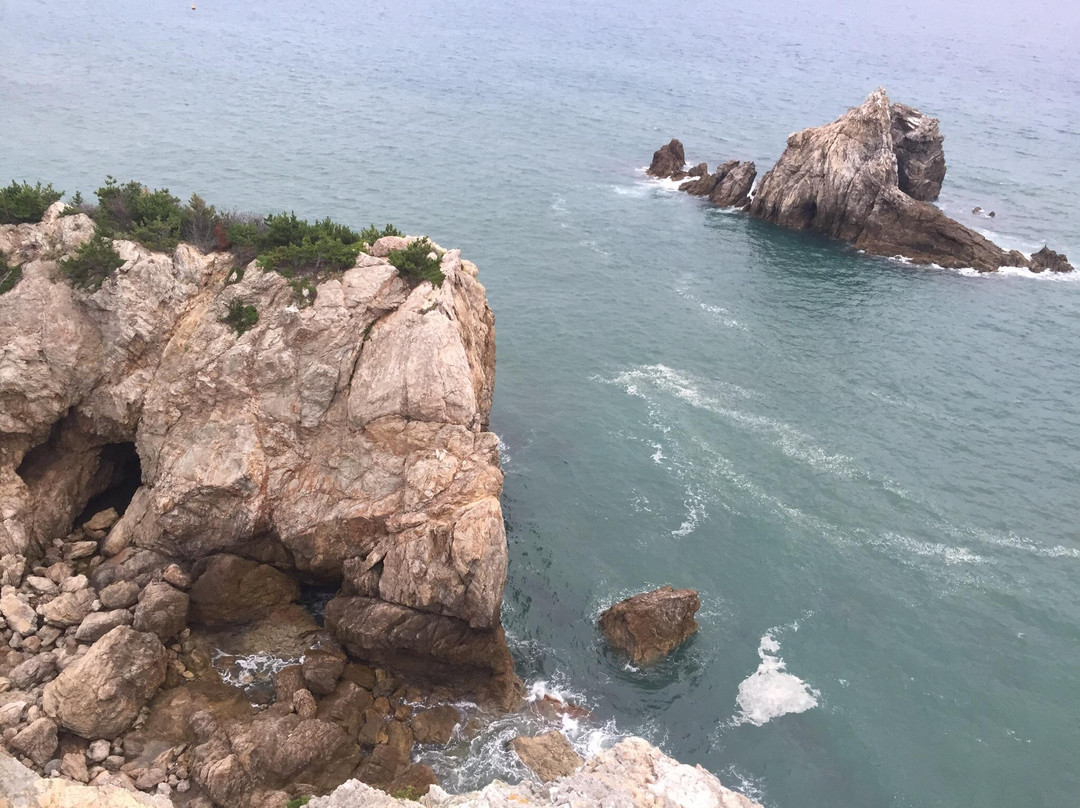 Memorial of Yashinomi-田原市必去景点