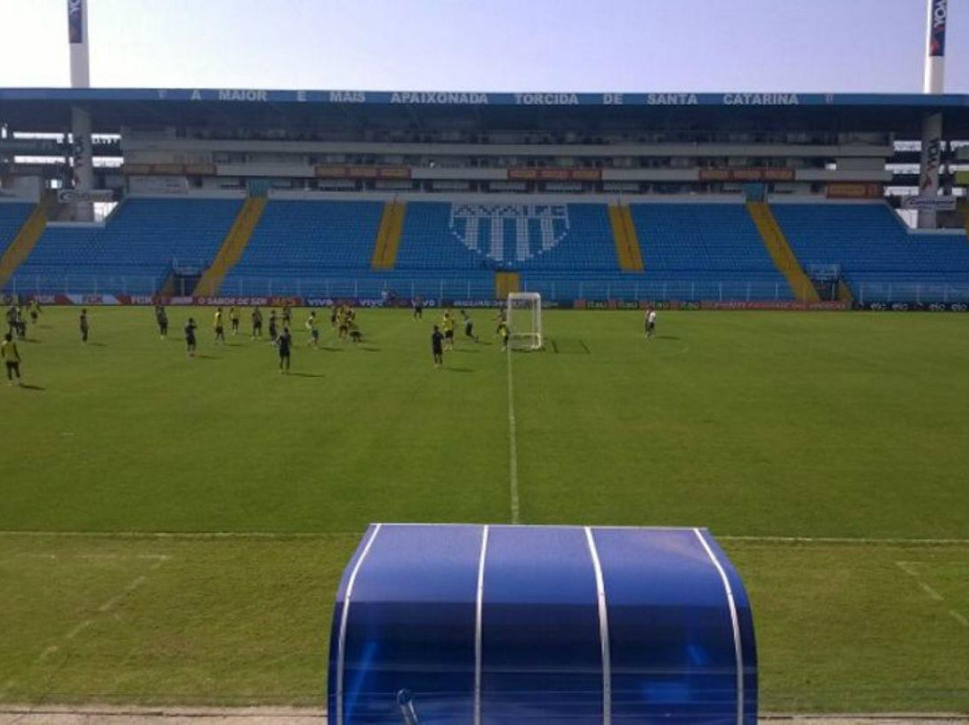Estádio Aderbal Ramos da Silva - Ressacada景点图片