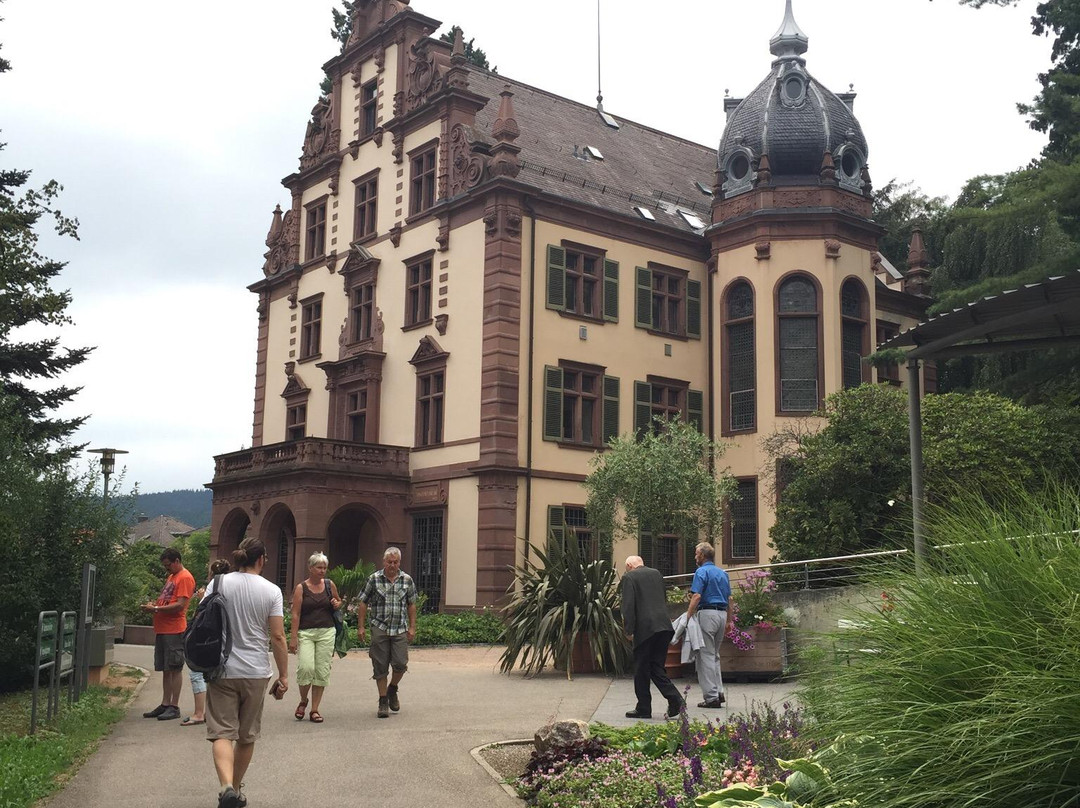 Kur- und Schlosspark Badenweiler景点图片
