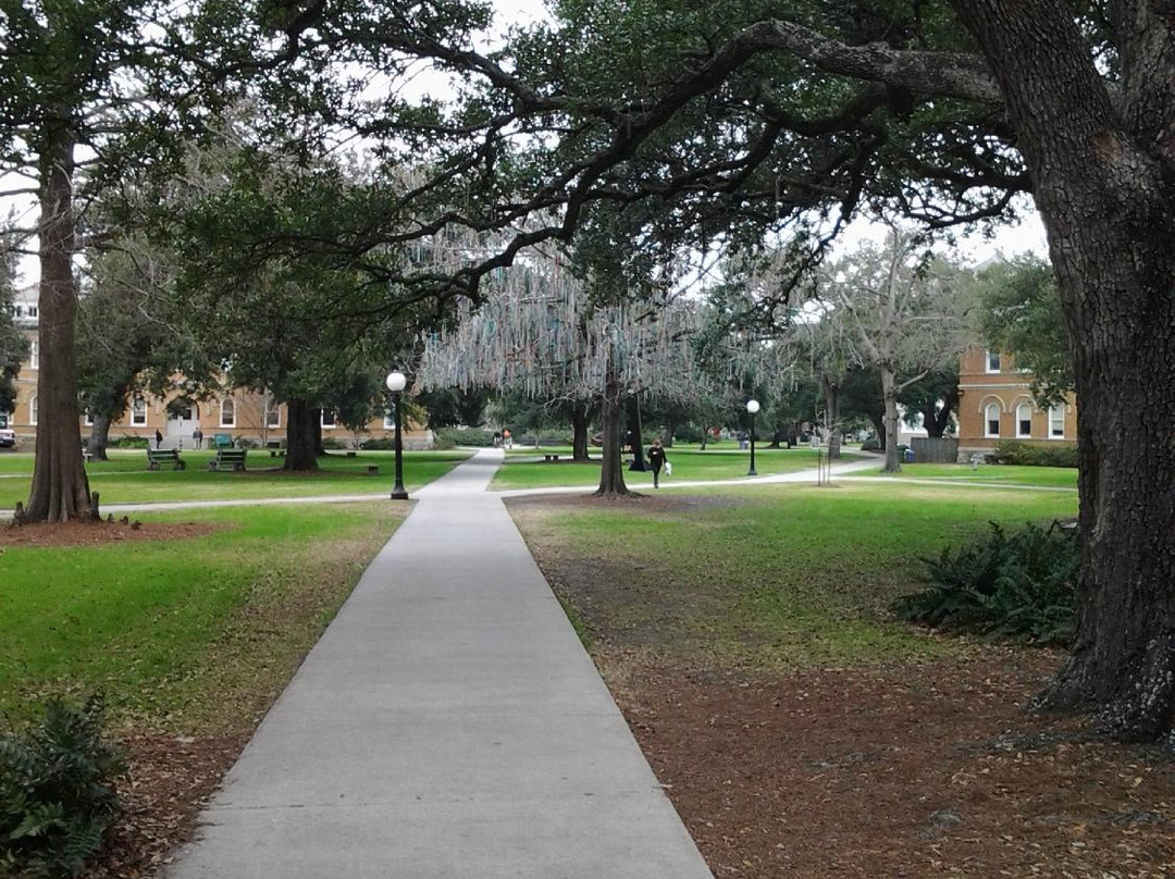 Tulane University景点图片