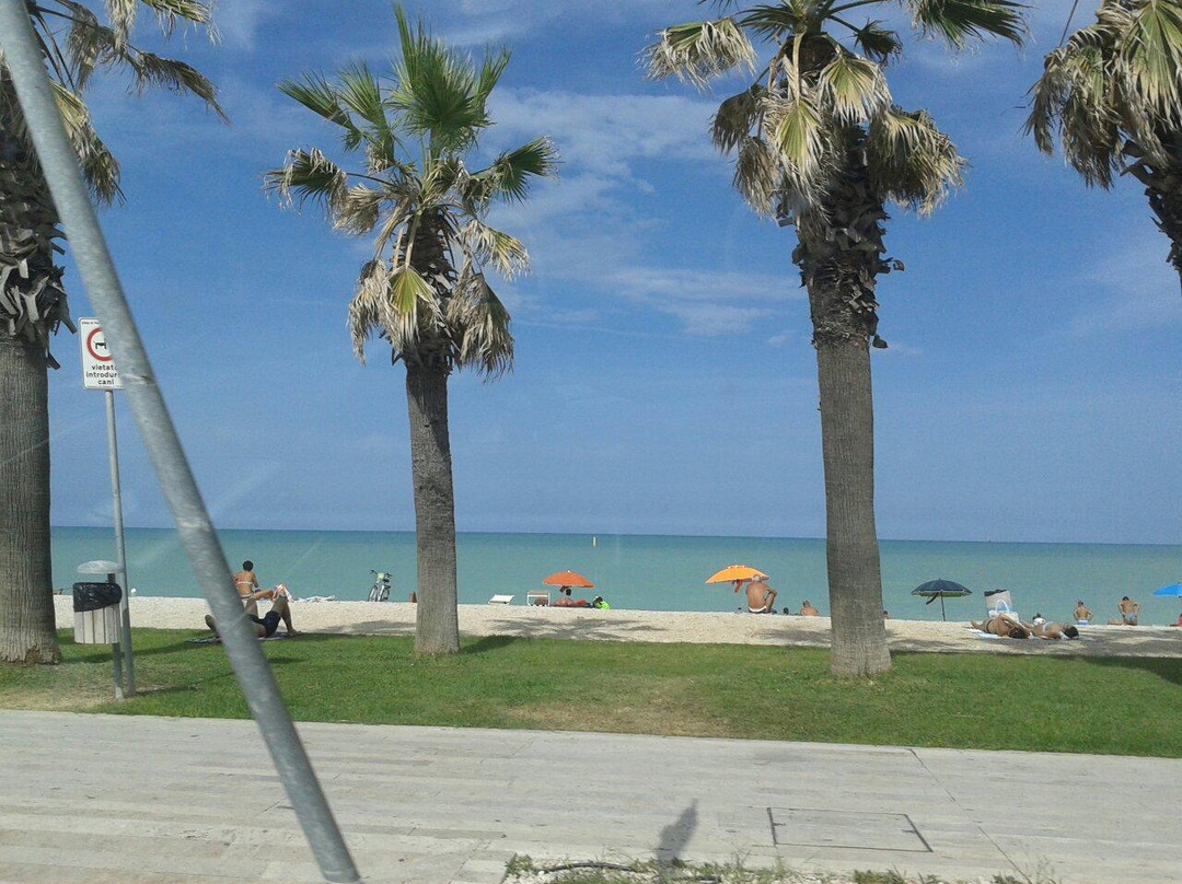null-Porto Sant'Elpidio