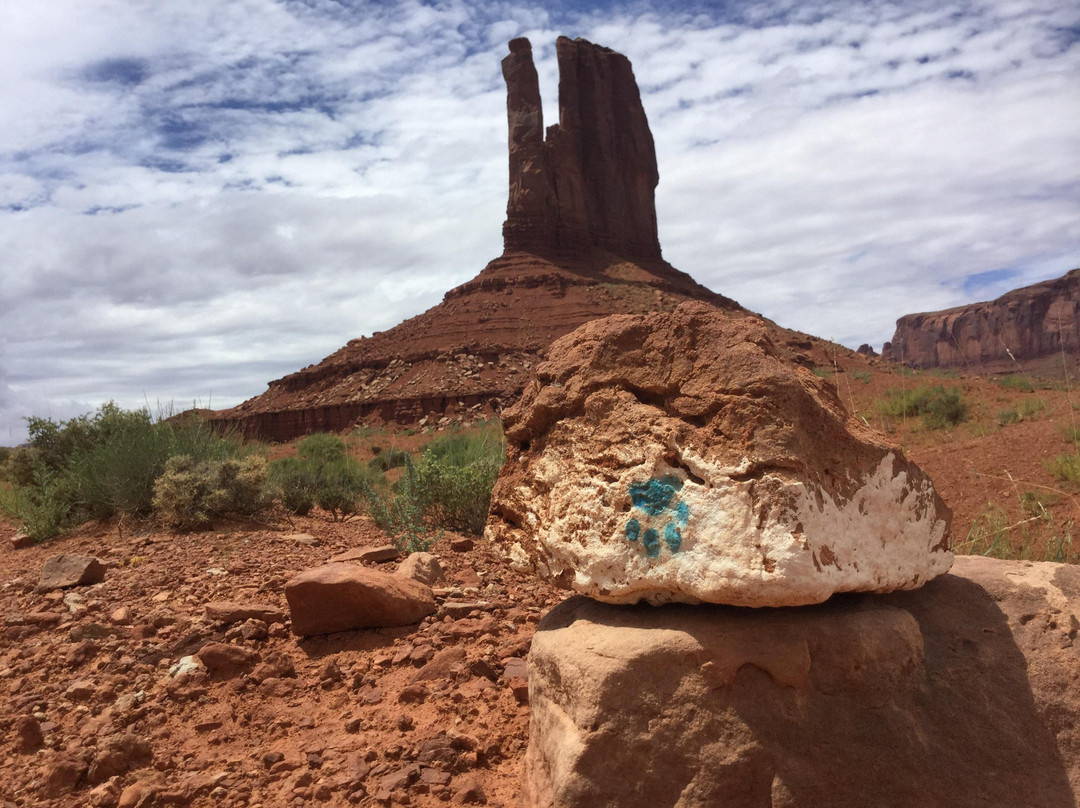 Wildcat Trail-纪念碑公园必去景点