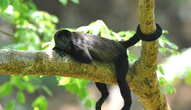 Guanacaste Tours and Transfers景点图片