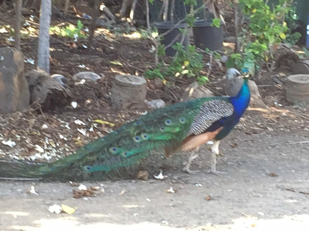 Yee's Orchard & Fruit Stand-基黑必去景点