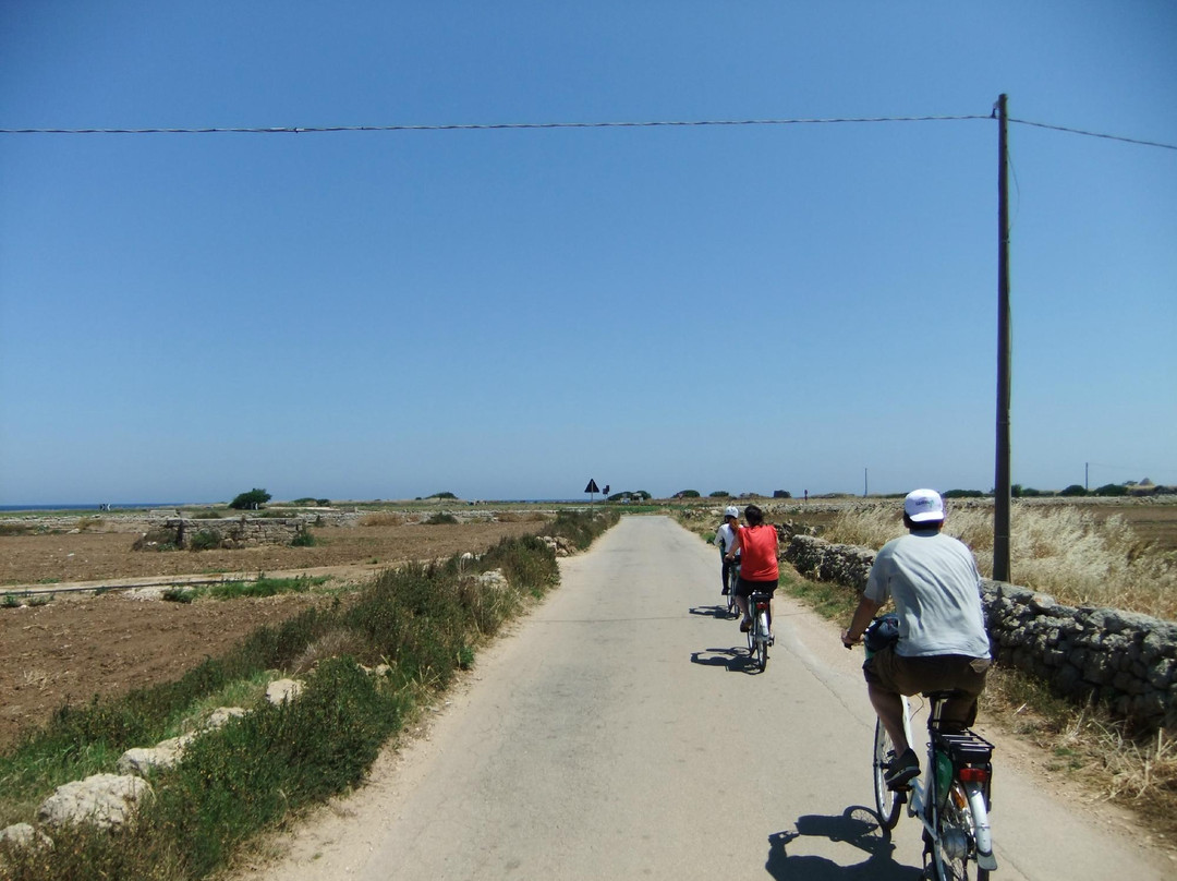 Taste & Go-诺奇必去景点