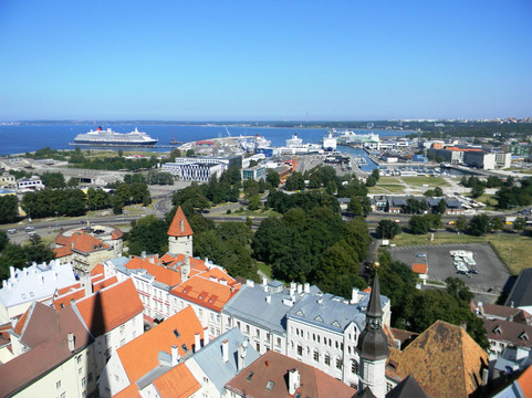 Private Guide in Tallinn Olga Soboleva-塔林必去景点