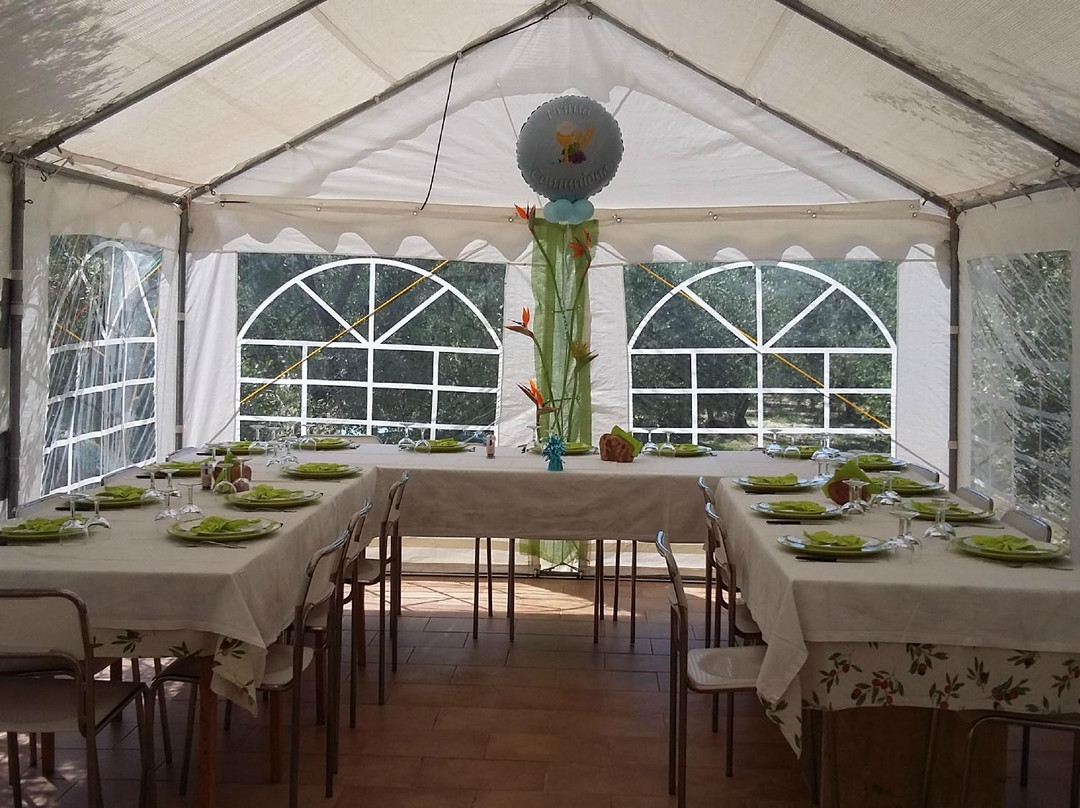 Agriturismo il Grande Ulivo