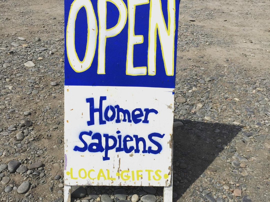 Homer Sapians-荷马必去景点