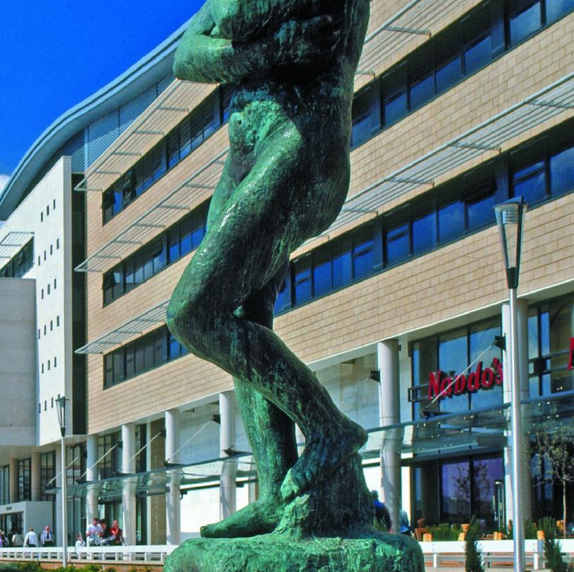 Gibberd Gallery景点图片