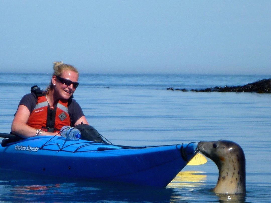 Sea Kayak Devon-达特茅斯必去景点