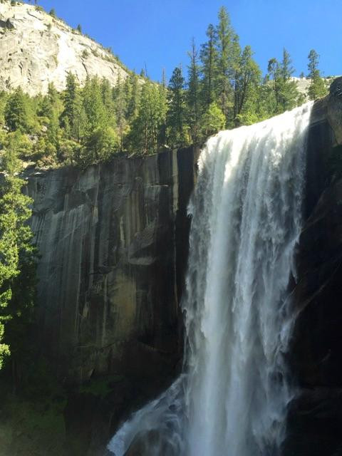 Yosemite Mountaineering School景点图片