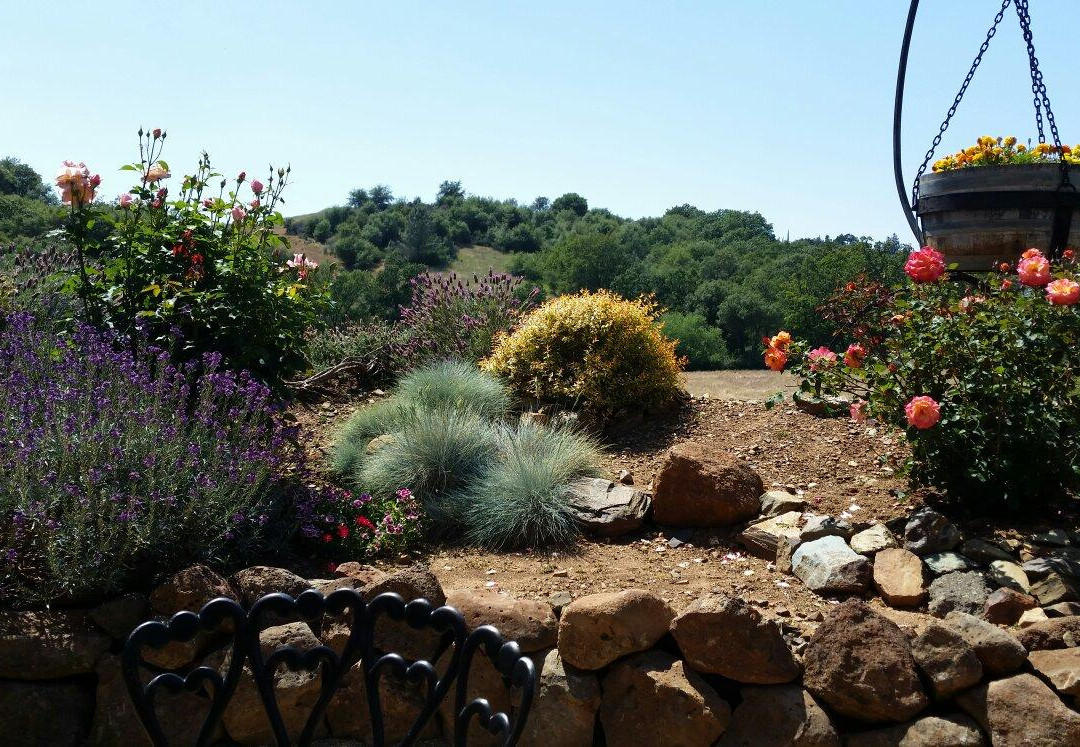 Mt. Vernon Winery-Auburn必去景点