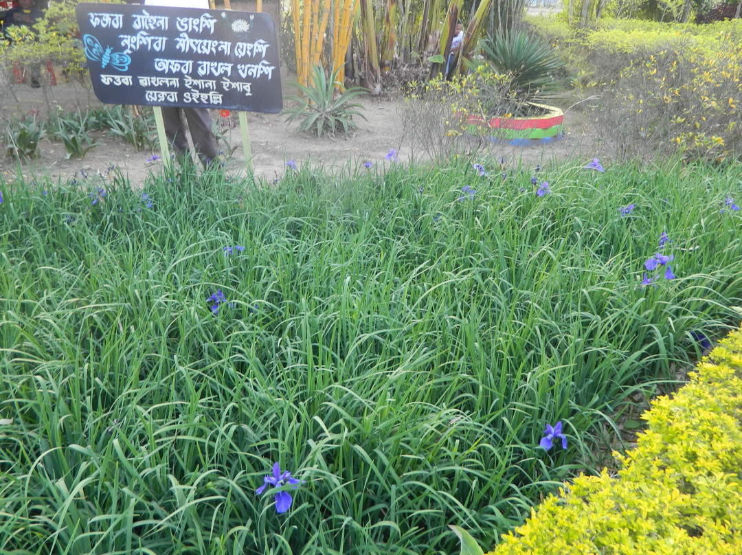 Kombirei Garden-因帕尔必去景点