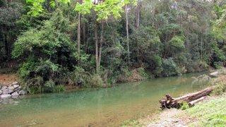 Conondale National Park景点图片