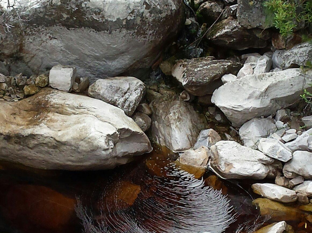 Harold Porter National Botanical Gardens-Betty's Bay必去景点