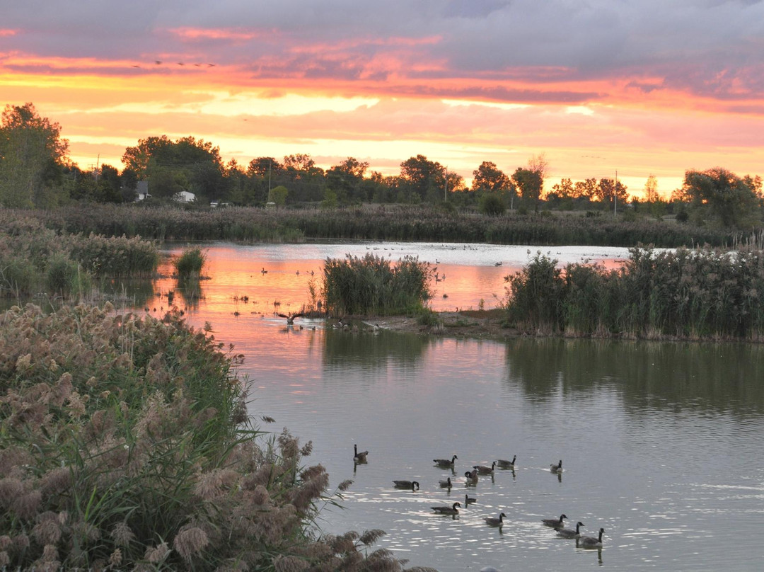 Wawanosh Wetlands Conservation Area景点图片