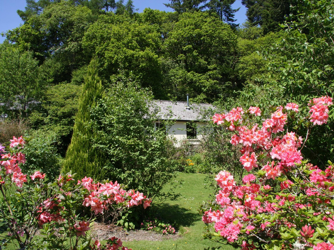 Cwm Irfon Lodge Cottages