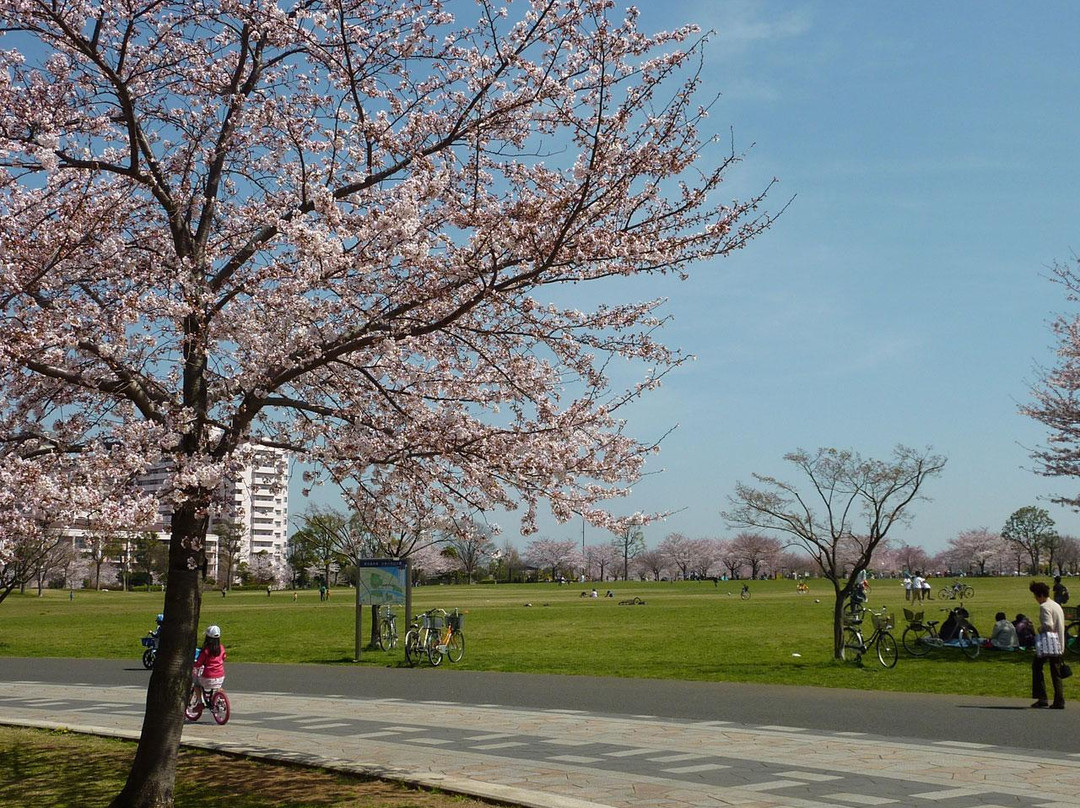 Ojima Komatsugawa Park景点图片