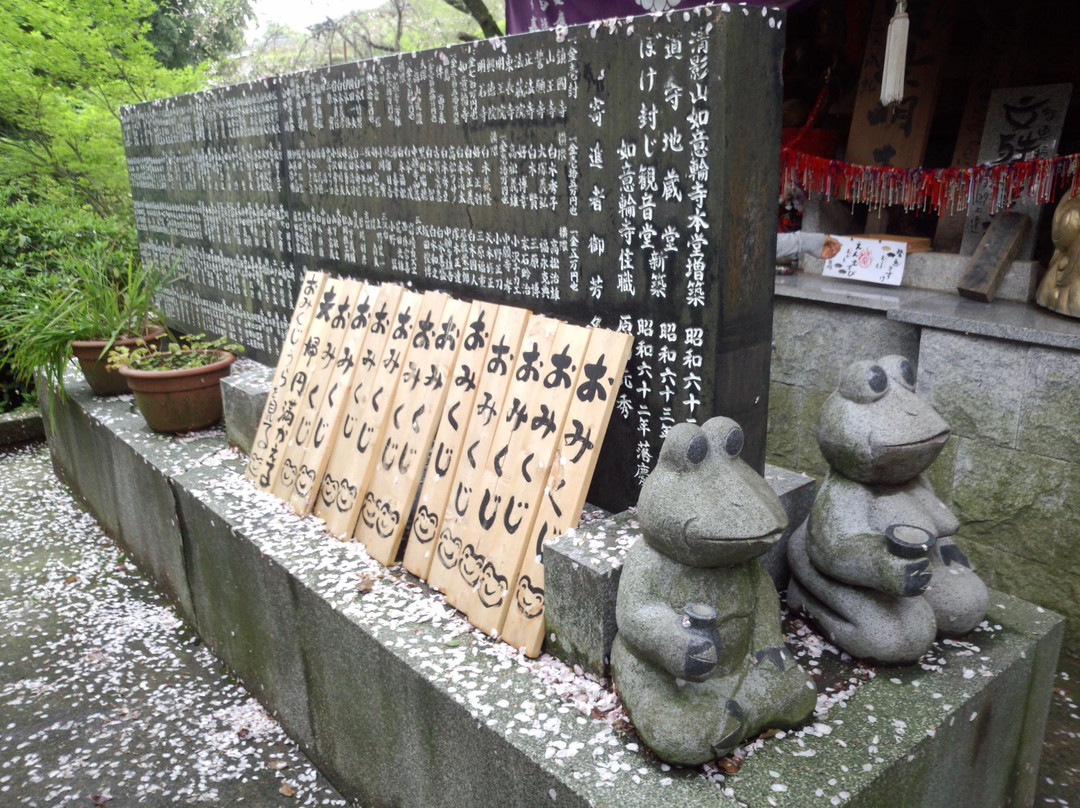 Nyoirinji Temple景点图片