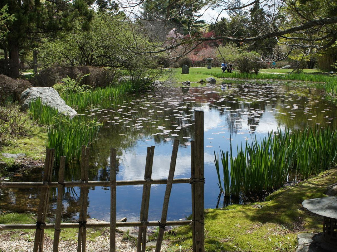 Hammond Museum and Japanese Stroll Garden景点图片