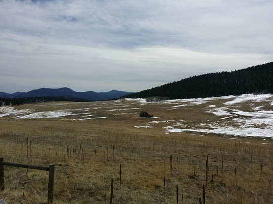 Club CannaBus Tours​-丹佛必去景点