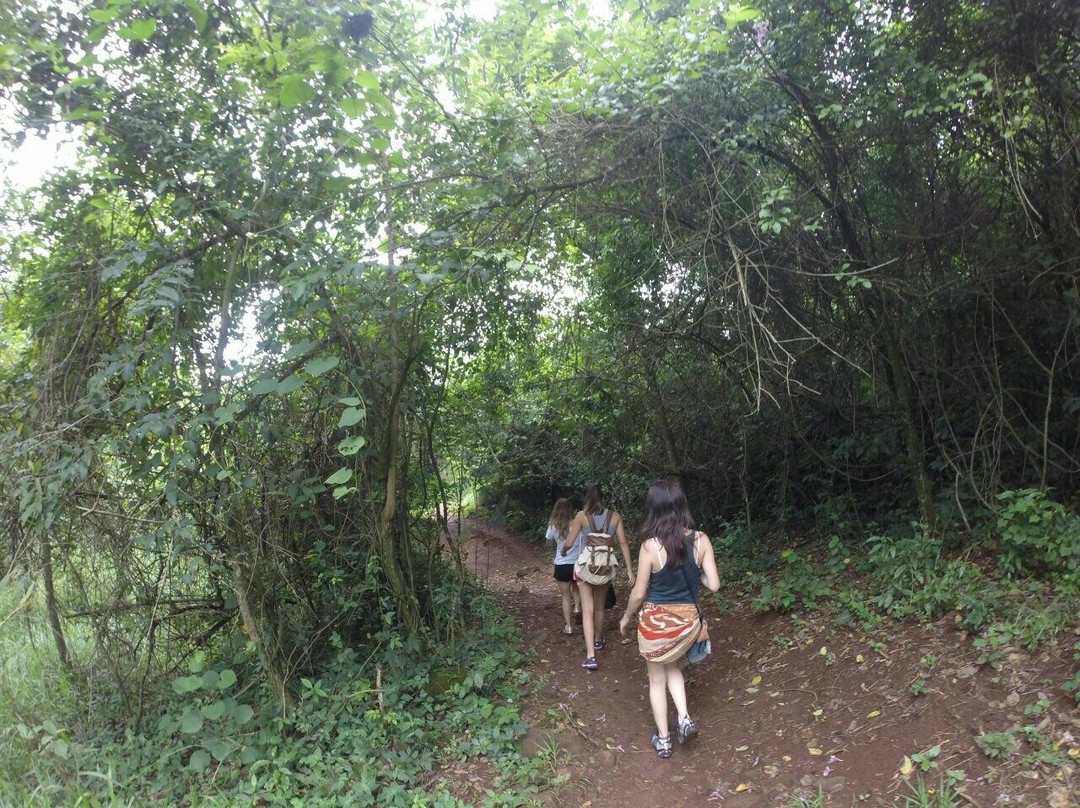 Tres Quedas Waterfall-Brotas必去景点