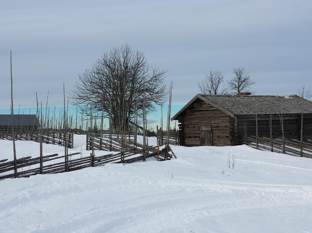 Wildlife Sweden-Camp Ängra-Ljusdal必去景点