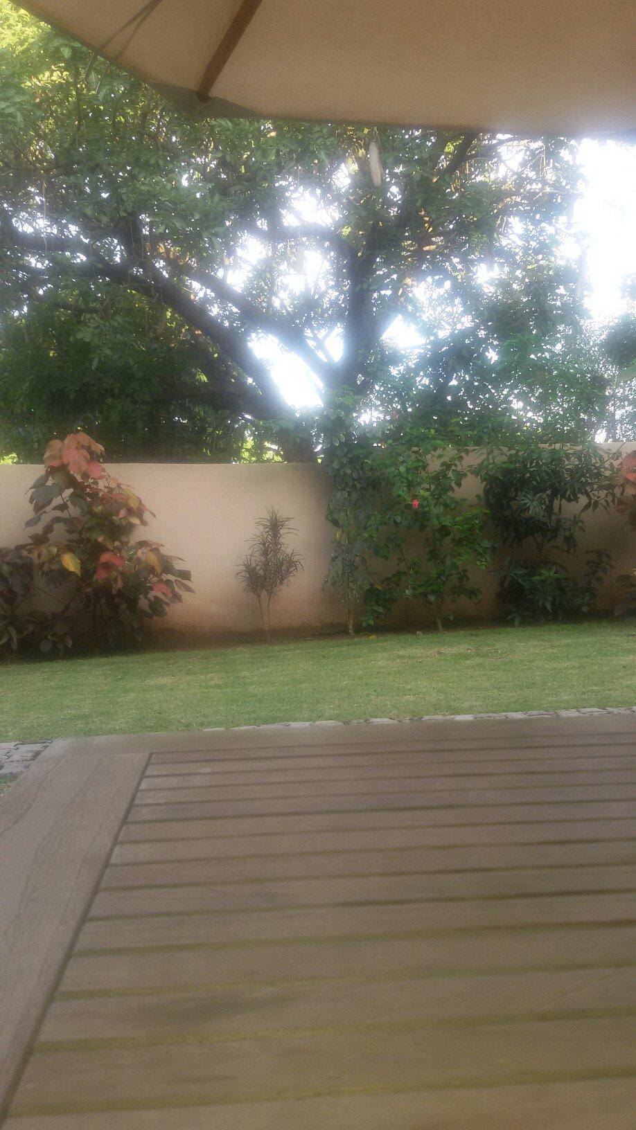 Roma-Place-酒店景观