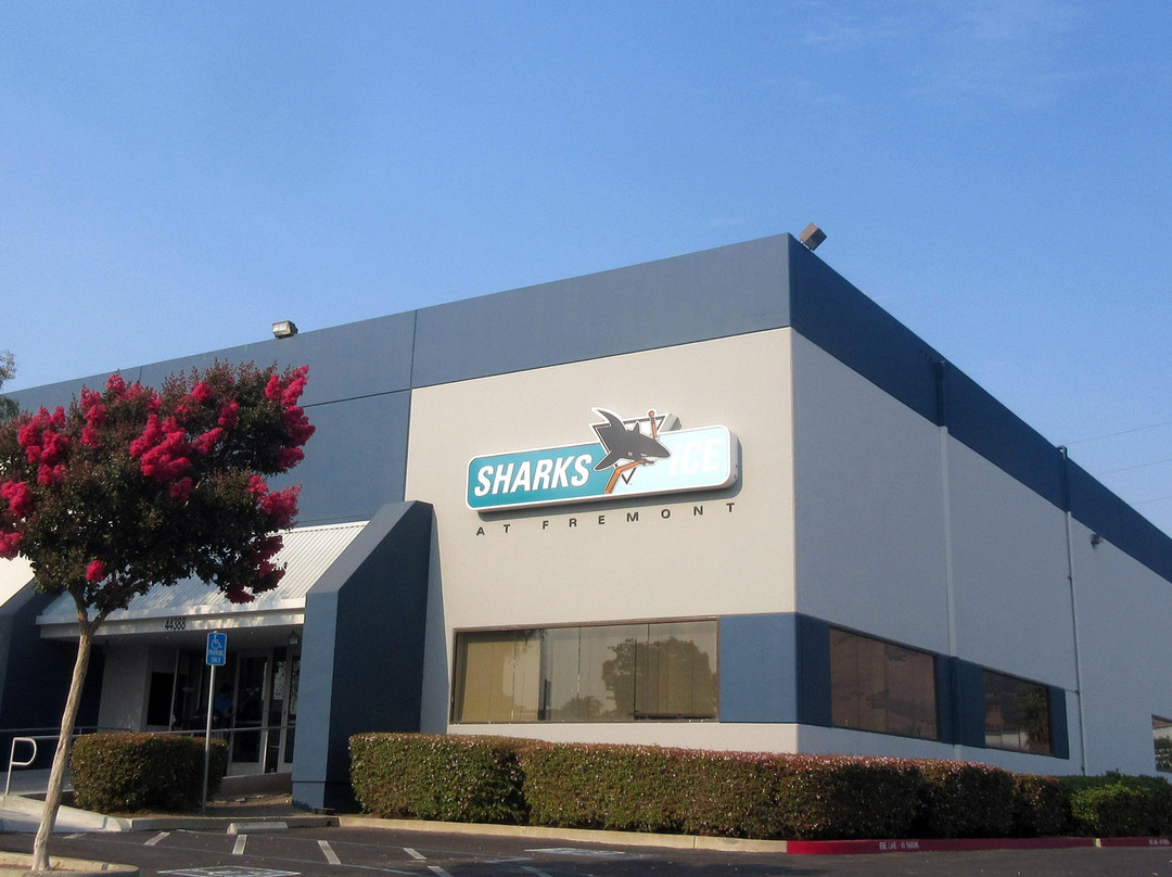 Sharks Ice Fremont-费利蒙必去景点