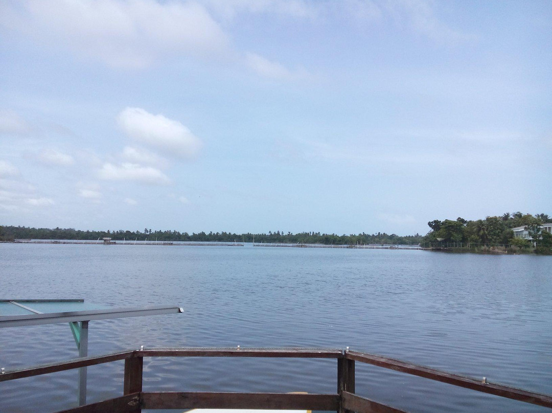 Bolgoda Lake景点图片
