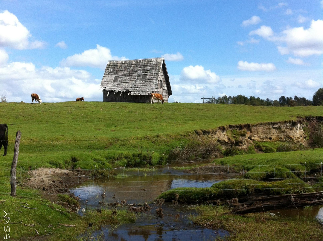 Monte Verde-蒙特港必去景点