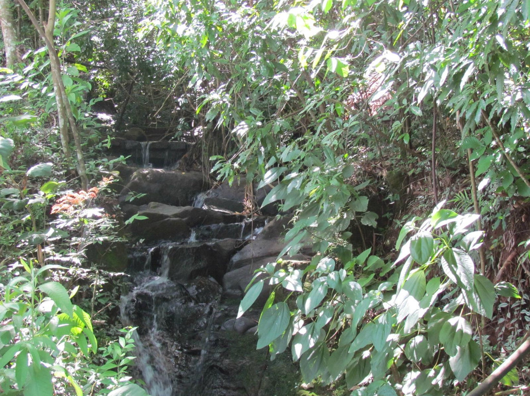 Bosque Estadual-Aguas da Prata必去景点