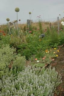 Munay Pampa-Minuano必去景点