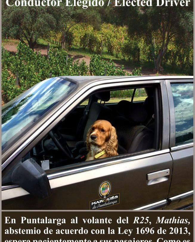 Marqués De Puntalarga-Nobsa必去景点