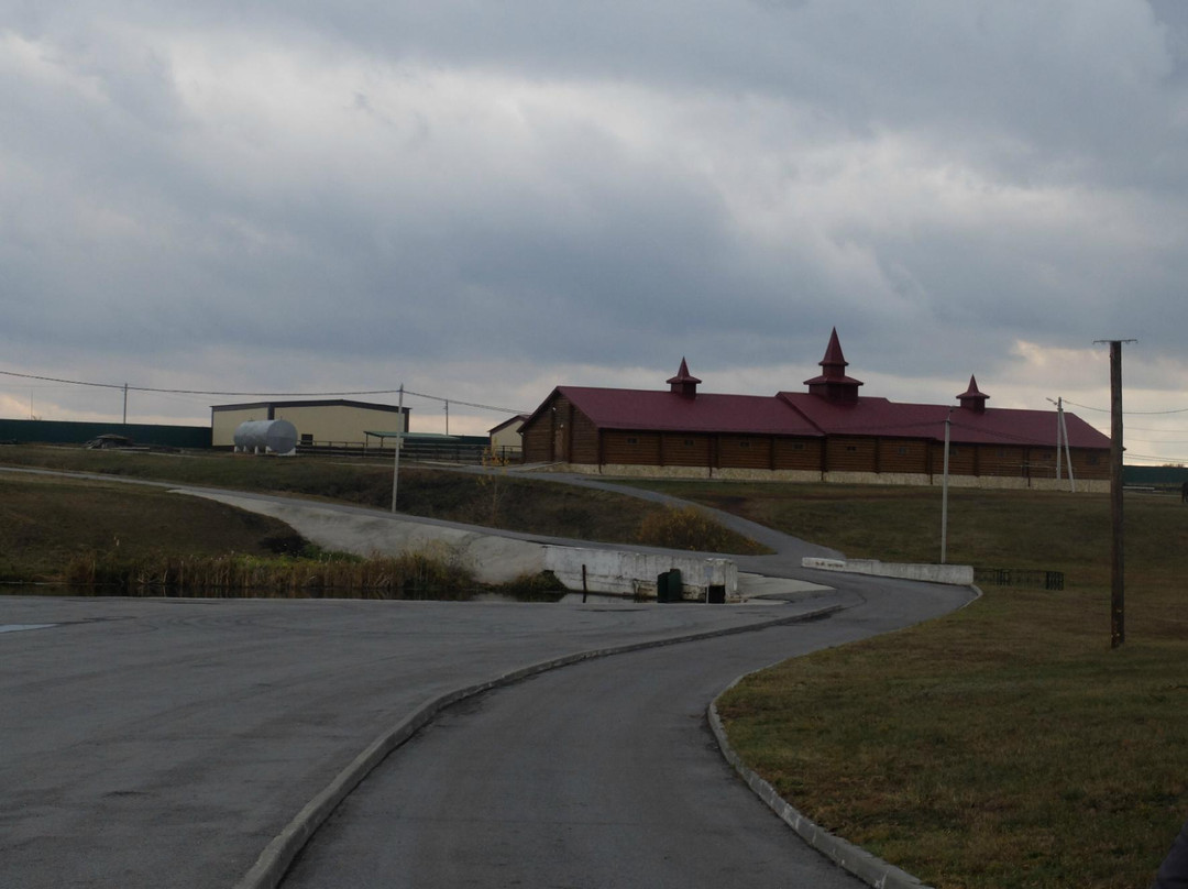 Nikolskoye旅游攻略图片